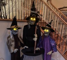 Halloween Party